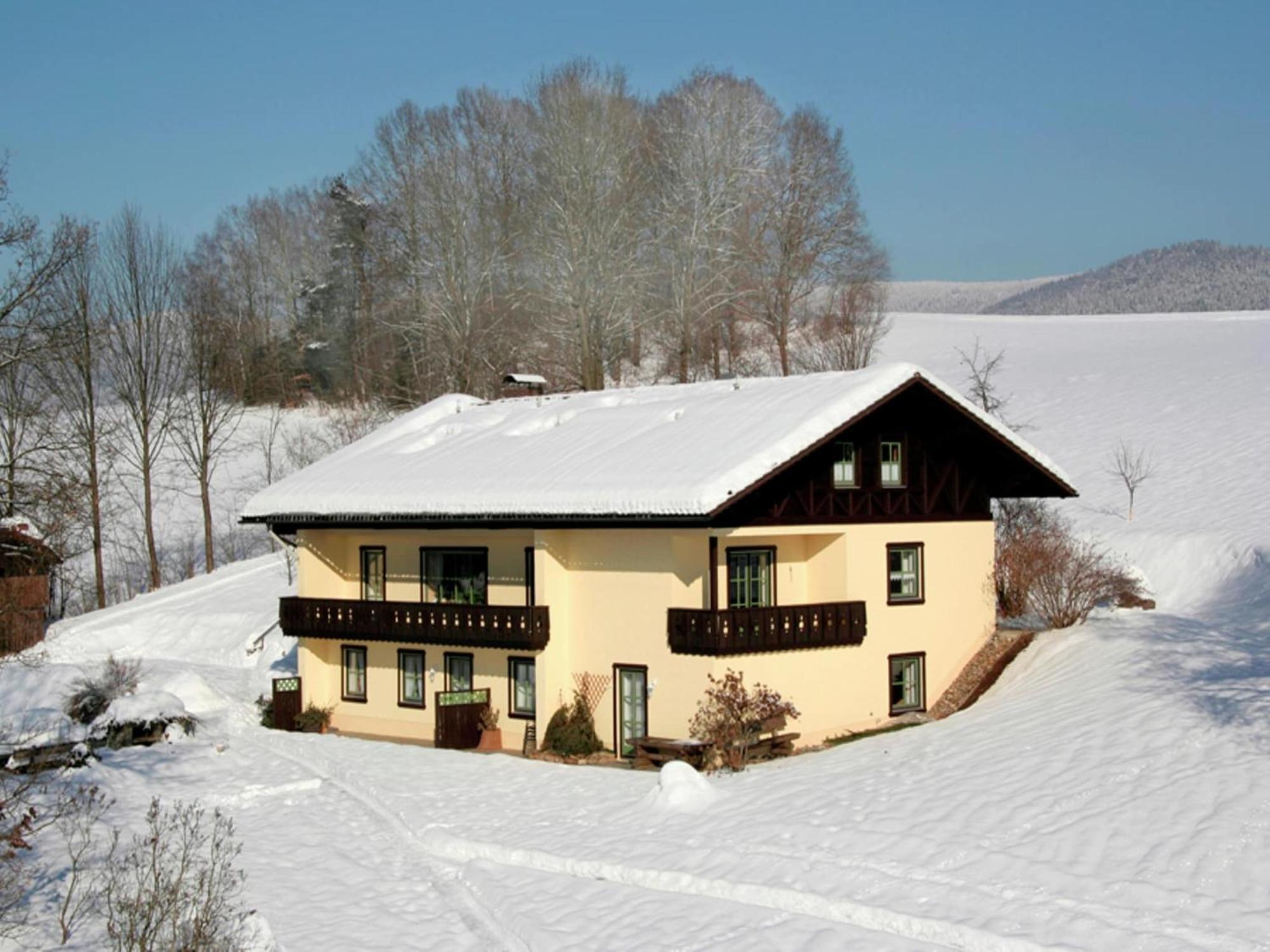 Holiday Home With Sauna Near A Ski Resort Drachselsried Exteriér fotografie